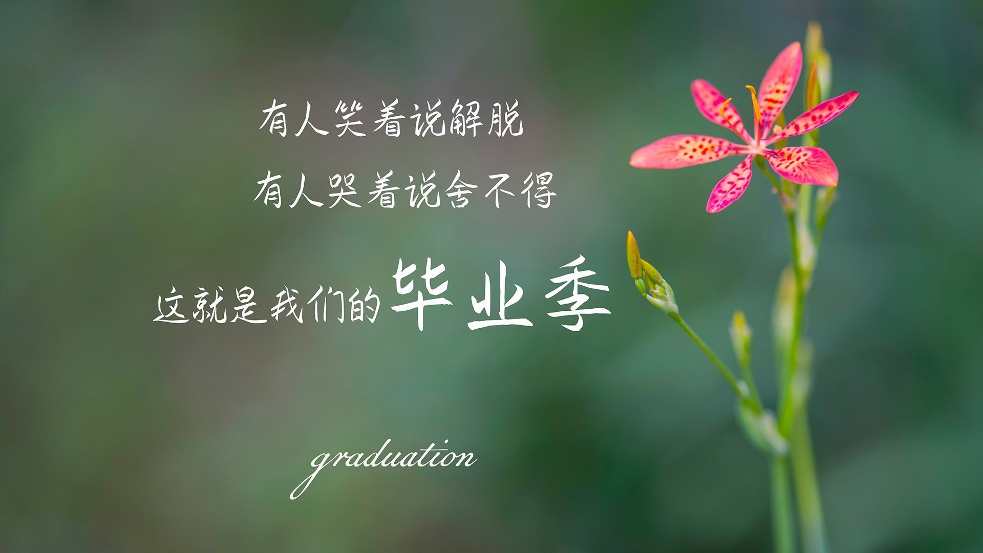开云官方-【比赛分析】马克·塞尔比的防守策略,谁能破解?,马克塞尔比的人生经历