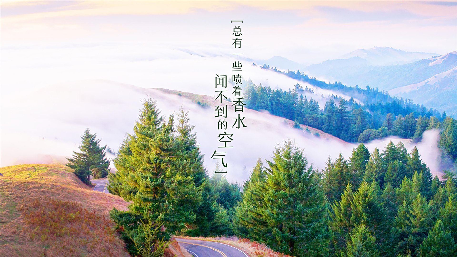 开云官网-【规则讲解】棒球比赛中的三振、选球和盗垒详解,棒球三振必须连着三个好球么