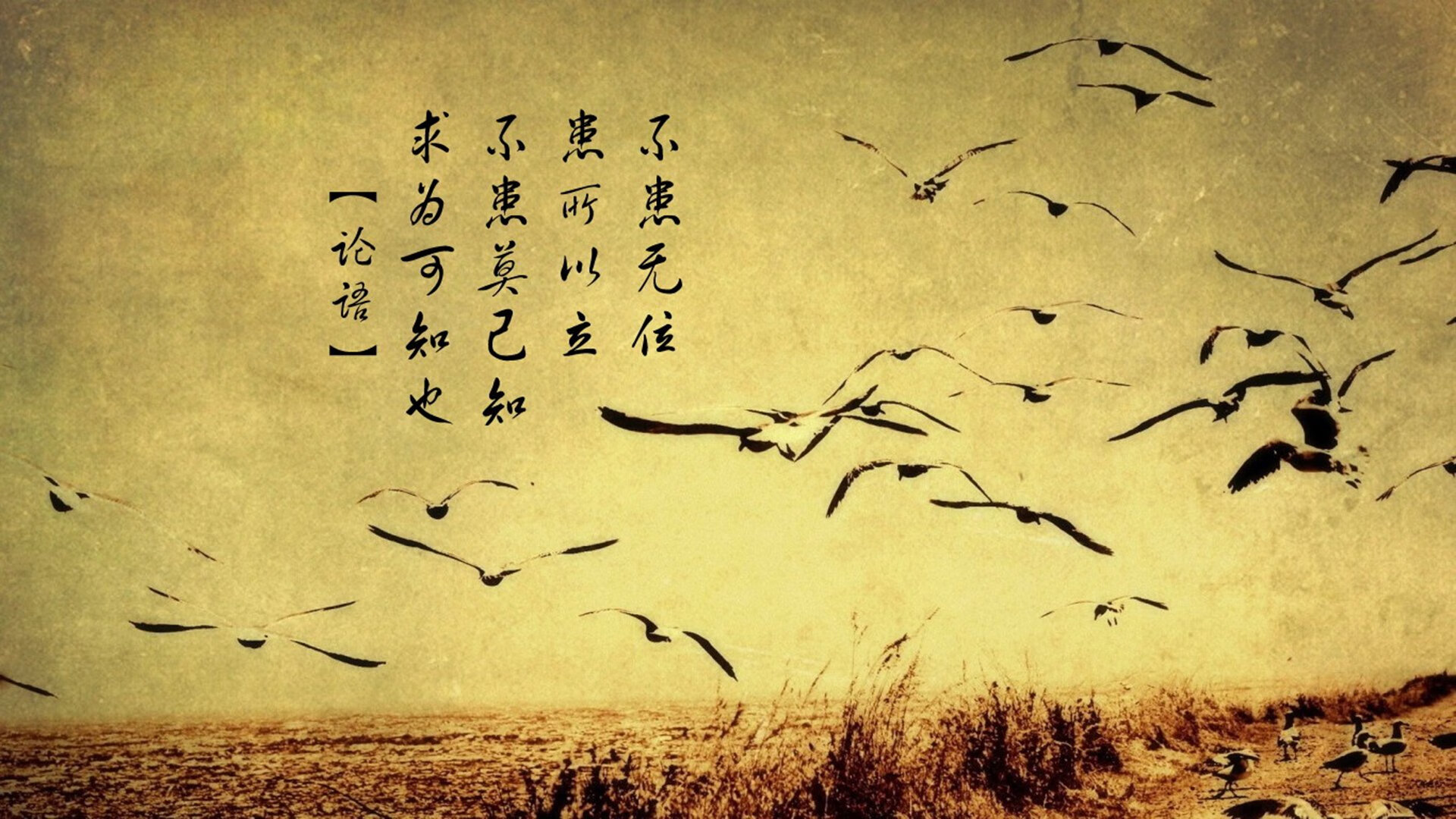 开云官网-球队斗魂:坚持到底的精神感人至深,球队精神是什么