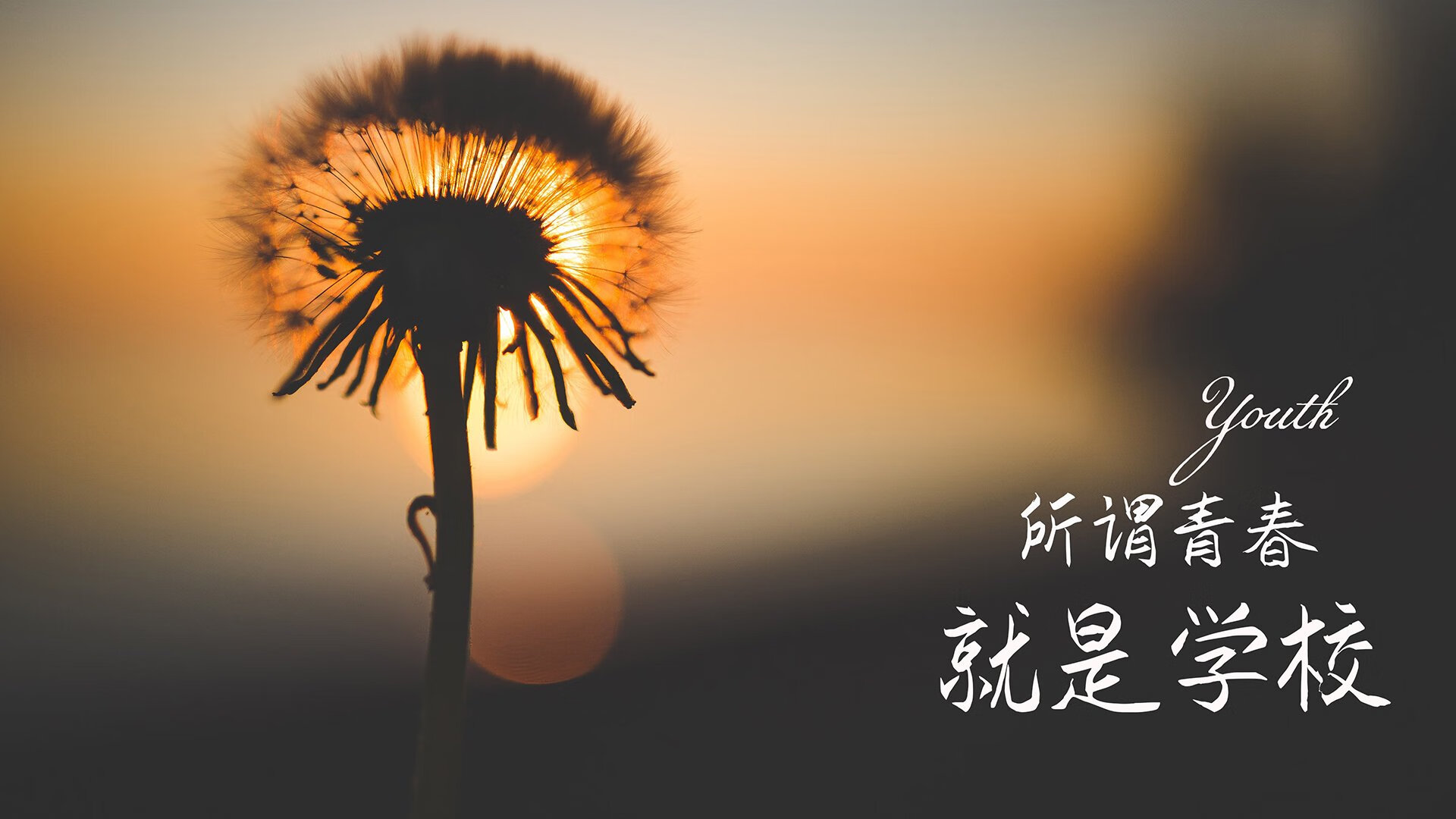 开云平台-拜仁慕尼黑俱乐部宣布签约西班牙中场球员,拜仁慕尼黑足球队