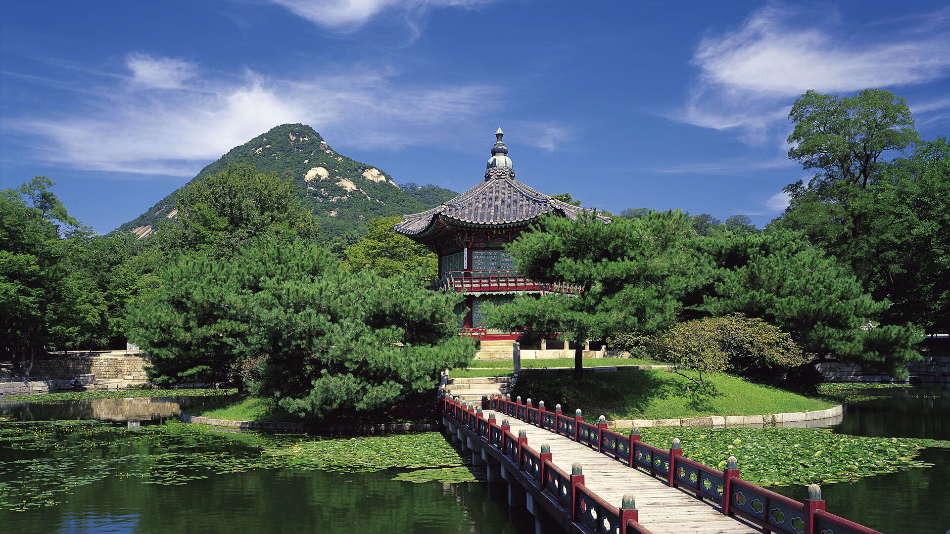 开云体育首页-全国速度轮滑锦标赛福建队斩获多金,全国速度轮滑比赛视频