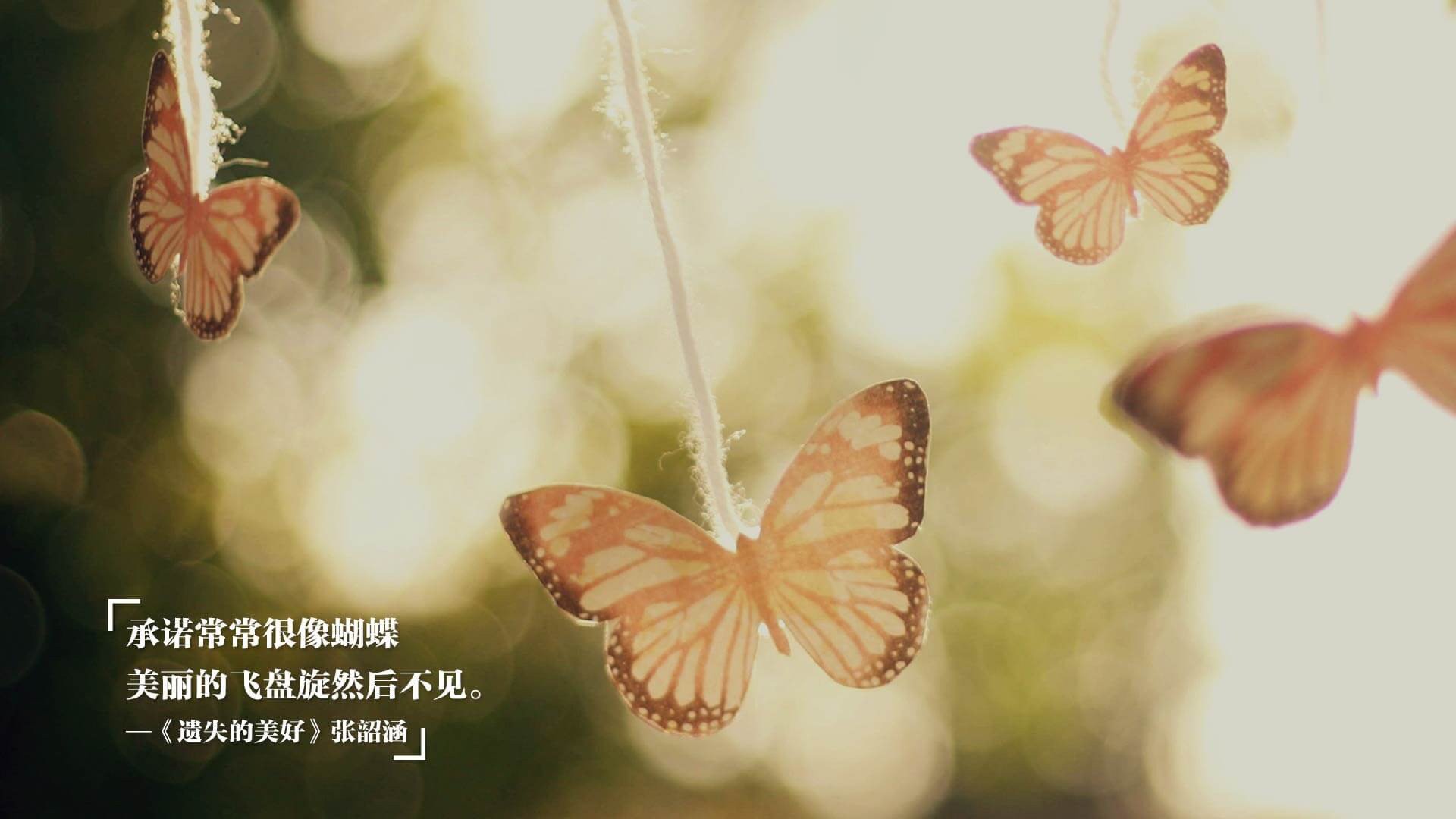 开云体育APP下载-埃及赛制解析：如何激发选手的潜力，提升全球竞争力，埃及之战比赛时间